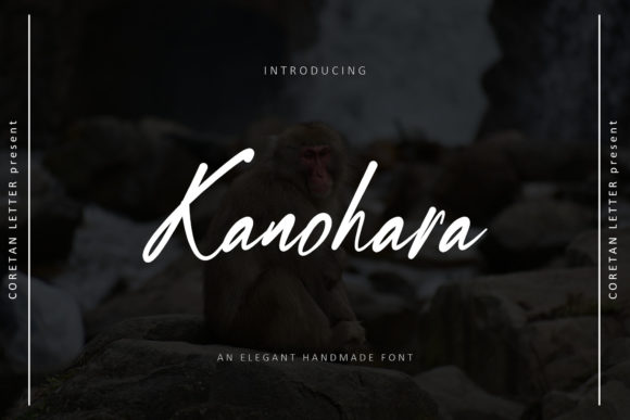 Kanohara: A Designer's Verdict on This Premium Script Font