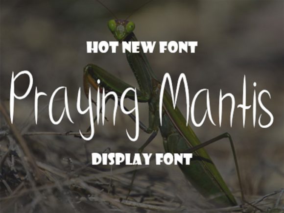 Praying Mantis: The Handwritten Typeface That Elevates Real Branding Projects