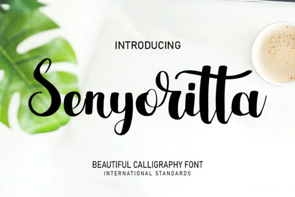 Senyoritta: The Premium Script Font for Campaigns That Need Soul