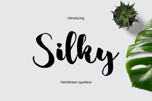 Silky: A Designer’s Real-World Script Font Review