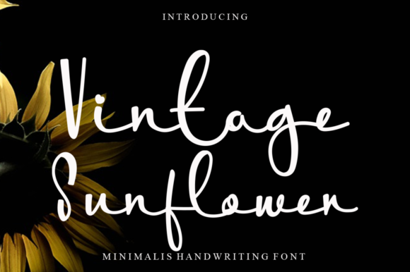 Vintage Sunflower: The Handwritten Typeface That Elevates Campaign Creativity